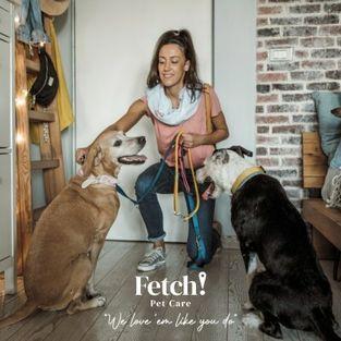 Fetch! Pet Care Brings a New Level of Quality to In-Home Pet Care in West Hollywood Florida